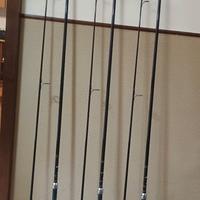 splendide canne da carpfishing salamander 