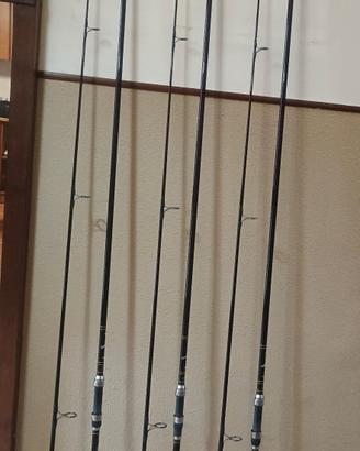 splendide canne da carpfishing salamander 