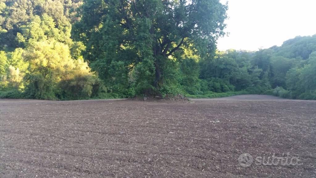Terreno di 18120 m² a Tuscania - Vista 3