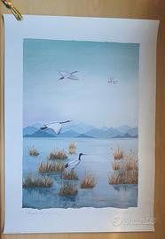 Stampa artistica 50x70 nuova Uccelli di Palude (
