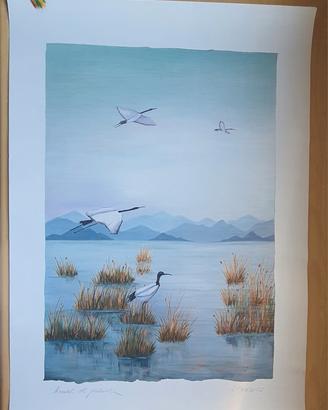Stampa artistica 50x70 nuova Uccelli di Palude (