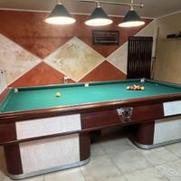 Biliardo professionale 290x160