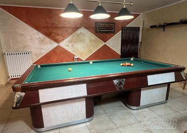 Biliardo professionale 290x160