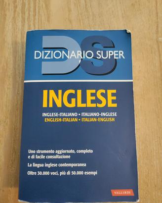 dizionario 