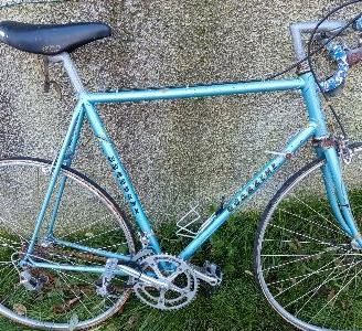 Bicicletta Guazzini