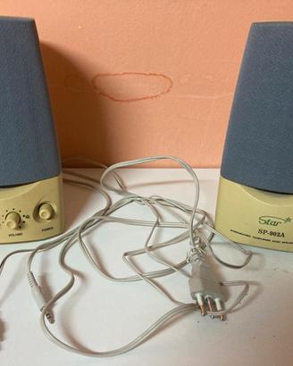 Casse amplificate