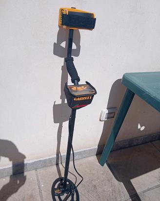 Metal Detector Ace Garret 250