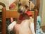 Immagine 1