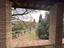 Immagine 11