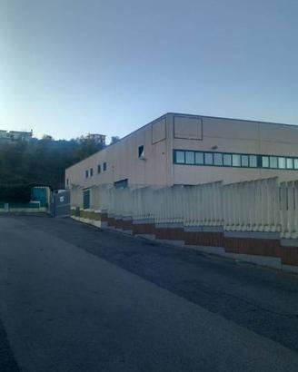 Immobile di 1300 m² a Guidonia Montecelio