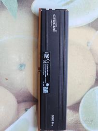 24gb ram ddr5 singolo banco crucial