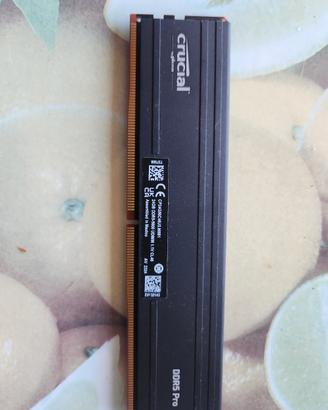 24gb ram ddr5 singolo banco crucial