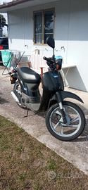 Honda Sky 50