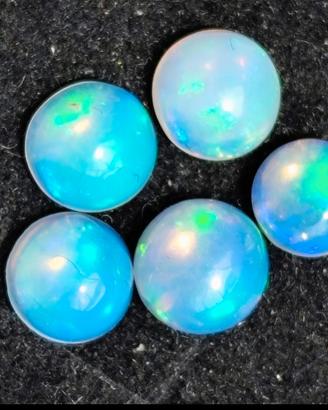 Lotto composto da 5 opali naturali taglio cabochon