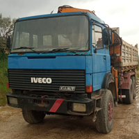 Autocarro Iveco 330-35 gru e ribaltabile