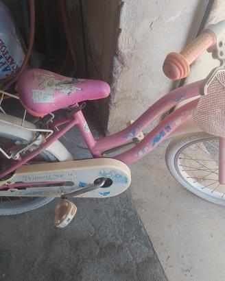 bicicletta 