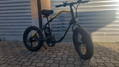 bicicletta elettrica 