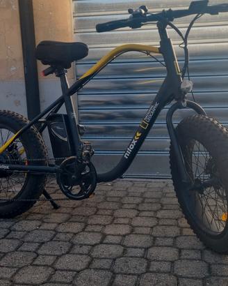 bicicletta elettrica 