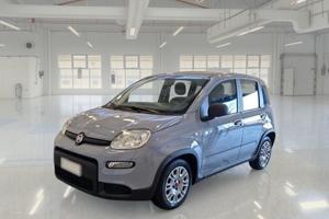 FIAT PANDA 1.0 FIREFLY 70 CV SES HYBRID 5 PORTE BE