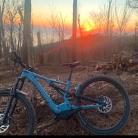 Specialized Turbo Levo M 2020