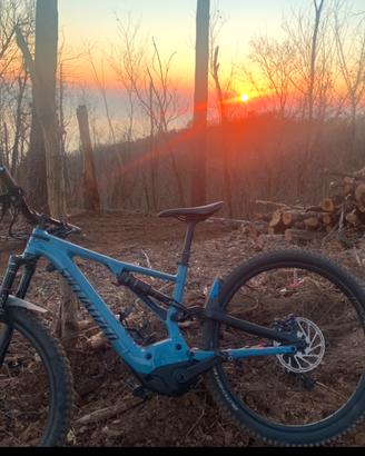 Specialized Turbo Levo M 2020