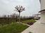 Immagine 25