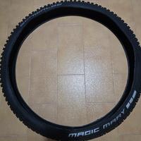 Mtb/Ebike copertoni maxxis/schwalbe 29