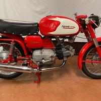 Aermacchi Ala Verde - 1964