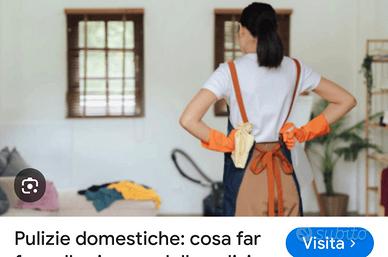 Pulizie domestiche ad ore