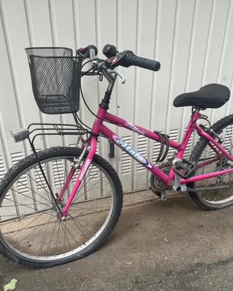 biciclette
