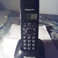 Telefono senza filo Panasonic KX1611