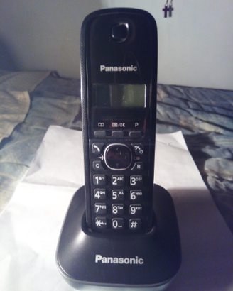 Telefono senza filo Panasonic KX1611