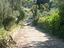 Immagine 6