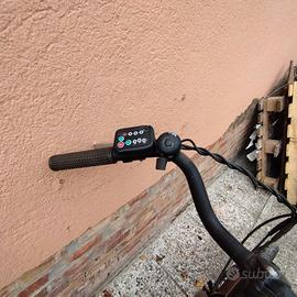 bicicletta pedalata assistita 