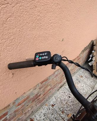 bicicletta pedalata assistita 
