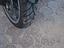 Immagine 5