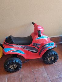 Quad elettrico