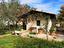 Immagine 30