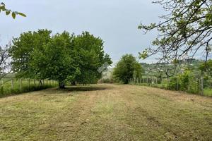 TER. AGRICOLO A SAN CESAREO