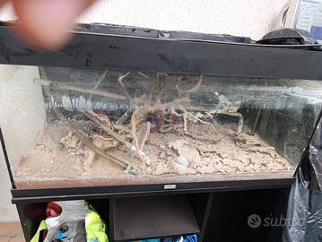 acquario Juwel rio 180