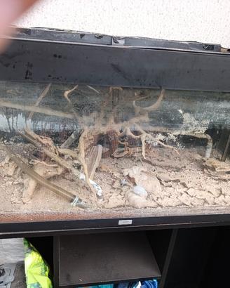 acquario Juwel rio 180