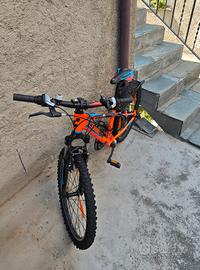mountain bike da ragazzo della Cube