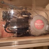 Mosquito Gatelli 38B