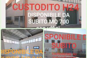Capannone mq 350 con uffici e spazio esterno