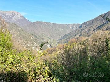Abitazione in Val d'Arzino con area boschiva 