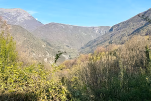 Abitazione in Val d'Arzino con area boschiva 