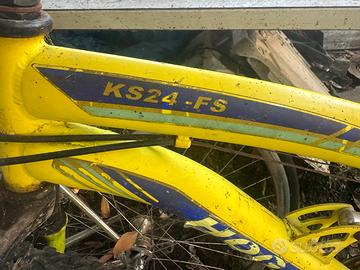 Bicicletta