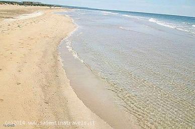 Disponibilita' giugno a pescoluse- lido marini