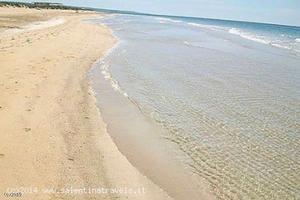 Disponibilita' giugno a pescoluse- lido marini