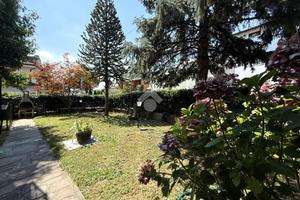 4 LOCALI A ALBANO SANT'ALESSANDRO